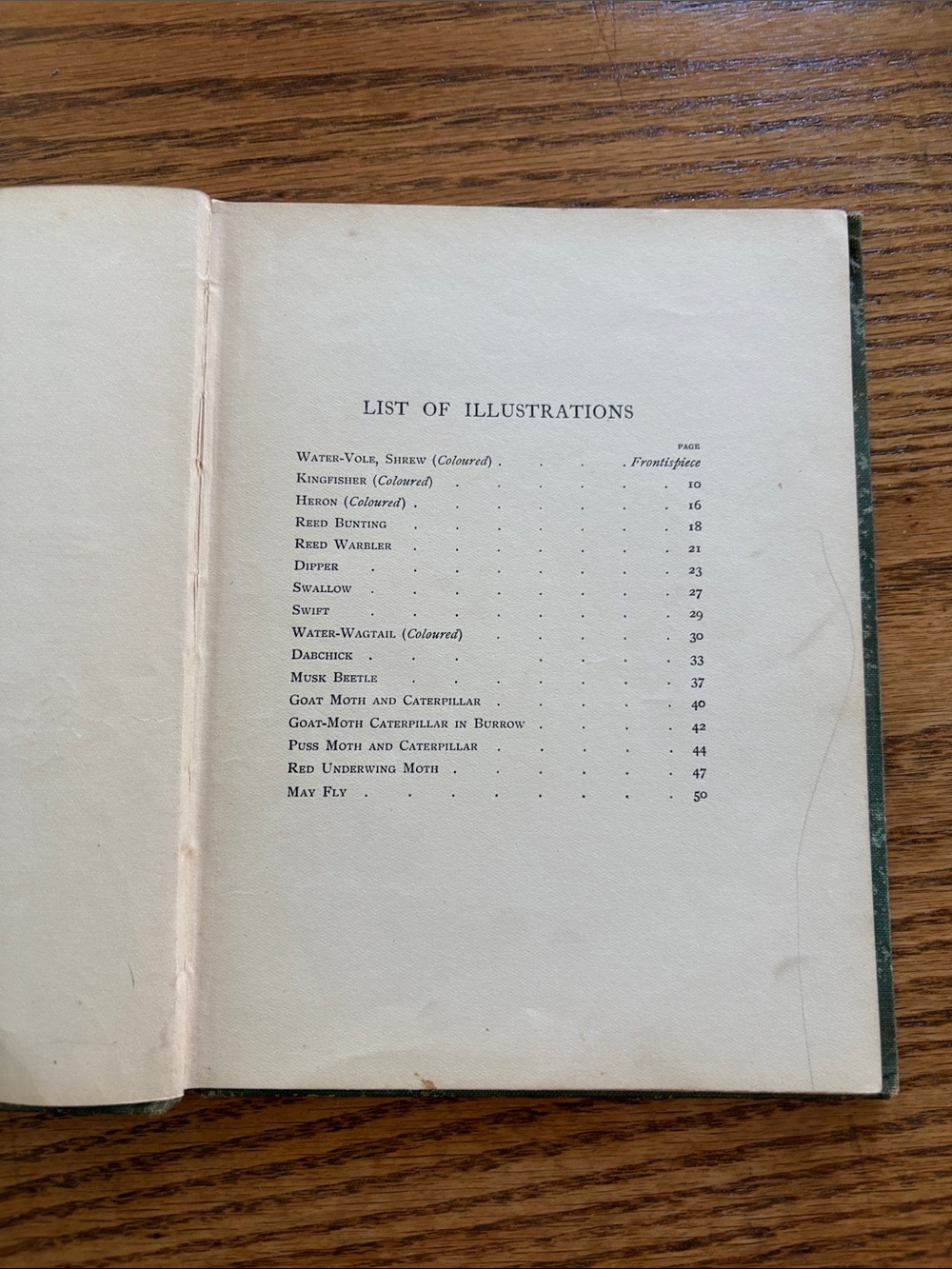 Vintage Bird Book “Dwellers on the River Banks” - Picture 5 of 12